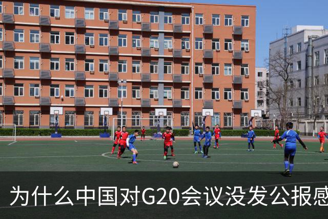 为什么中国对G20会议没发公报感到失望