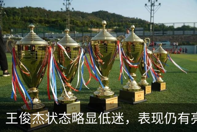 王俊杰状态略显低迷，表现仍有亮点
